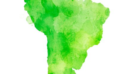 As disputas estaduais no cenário da eleição de 2022 importam?