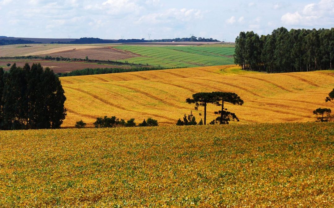 Entre o “agro” e os “povos do campo”: as disputas em torno da agricultura em 2022