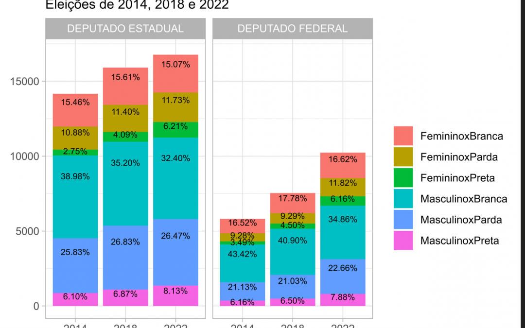 O que está em jogo nas eleições 2022: gênero e raça