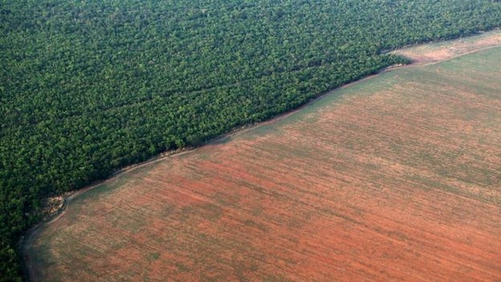 Titular e pacificar em nome do desenvolvimento: Bolsonaro e conflitos no campo